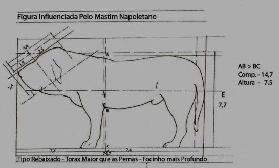 Nem só cães FB de cor preta tem esta tipologia, motivo pelo qual não vamos nos fixar na análise de animais pela