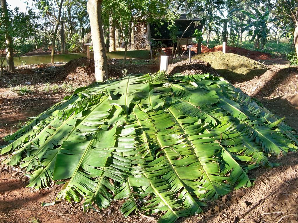 Neste sentido a temperatura foi monitorada idealizando manter entre 55 C a 70 C, ideais para contribuir para esterilização do material, provocando a morte de organismos que causam doenças às plantas