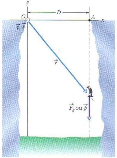 Um pinguim cai do alto de uma geleira conforme mostra a figura. Qual o torque no pinguim em relação ao ponto O? h A.
