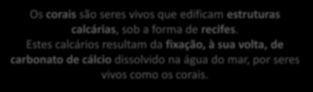 CALCÁRIOS RECIFAIS Os corais são seres vivos que edificam estruturas calcárias, sob a forma de recifes.