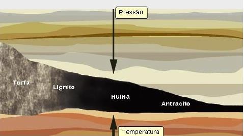 TIPOS DE CARVÃO Carvão Nestes ambientes, os detritos orgânicos são transformados por ação de micro organismos anaeróbios, da pressão e da temperatura (que aumentam com a profundidade)