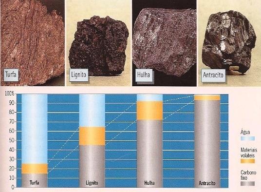 Carvão INCARBONIZAÇÃO A