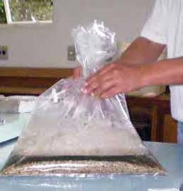 Aplicação da suspensão São utilizados em média cinco a seis quilogramas de arroz com o fungo, para produzir 400 L de suspensão conidial, que é a quantidade suficiente para pulverizar em média