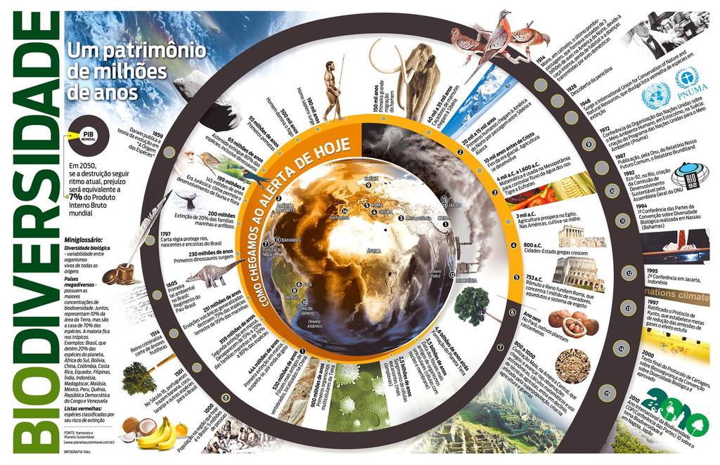 Biodiversidade Fonte da imagem:jornal O Dia, RJ Diversidade é