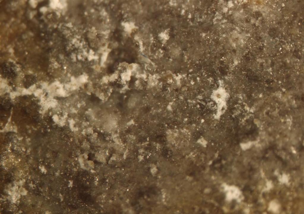 Figura 2 Imagem do cimento de Portland experimental após a reação de presa, com uma ampliação de 6 vezes e recurso ao estereomicroscópio com sistema de reforço de luz por fibra ótica. 3.
