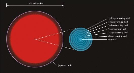 Estrelas: origem, evolução e morte GAUMa 2013 (Sobrinho J. L. G.) 12 Figura 9: Estrutura interna de uma estrela de massa inicial igual 25M quando esta atinge o estado de supergigante vermelha [7].
