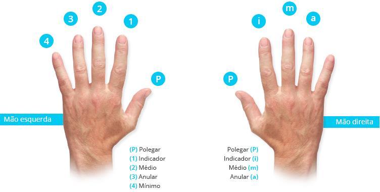 P á g i n a 5 Conhecendo as Mãos e suas Funções Iremos agora conhecer as mãos e suas funções, neste caso falando do músico destro. No caso de você ser canhoto, é só inverter tudo.