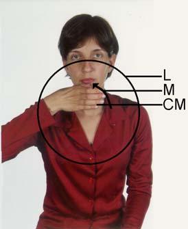 (Quadros e Karnopp, 2004) Consulte o site http://www.ines.org.br/libras/index.htm para visualizar todas as configurações de mão da língua brasileira de sinais.