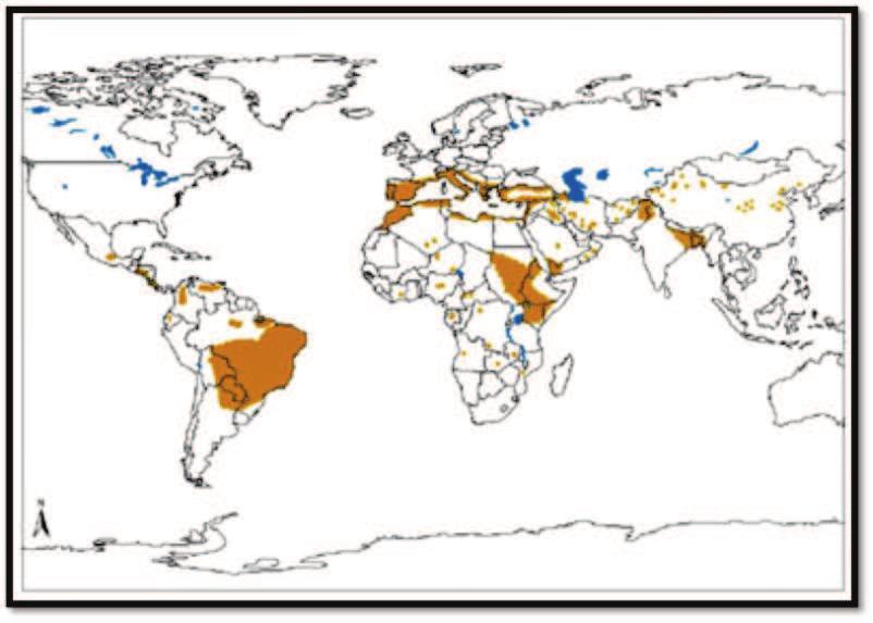 15 Figura 4. Mapa de distribuição mundial da leishmaniose visceral, mas que relaciona com a distribuição de leishmaniose visceral canina, por ser uma zoonose.