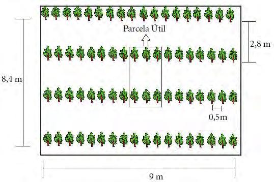 2.2. Amostragem Foram realizadas no total onze amostragens das plantas de café nos dois sistemas, em intervalos de aproximadamente 15 dias, no período de novembro de 2002 a maio de 2003.