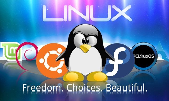 TOP 10 Distribuições GNU/Linux mais populares em 2015 Date : 9 de Dezembro de 2015 Em 2015 o Pplware voltou a ser o principal canal na análise a distribuições GNU/Linux.