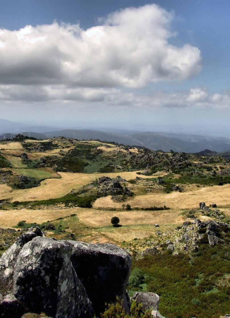 Macieira Maeira de Baixo S.