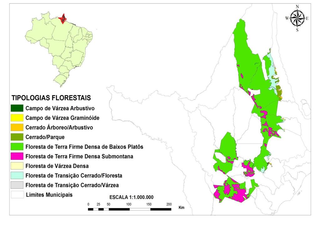 FLOTA -