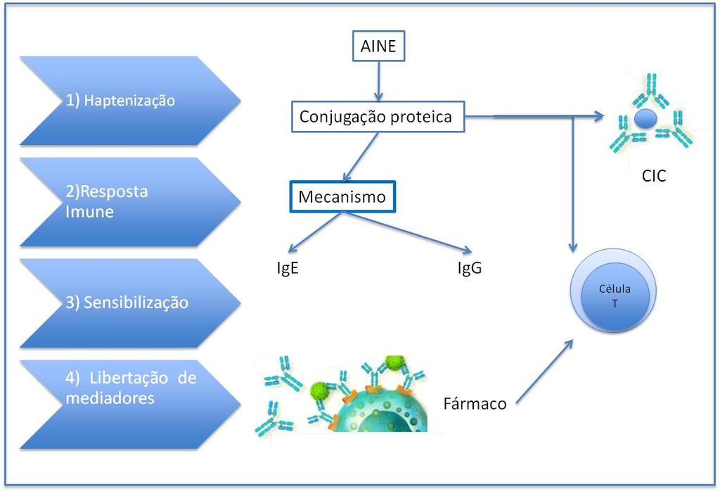 Figura 4. Mecanismos fisiopatológicos envolvidos na hipersensibilidade a AINES, determinando tempos de início de sintomatologia diferentes.