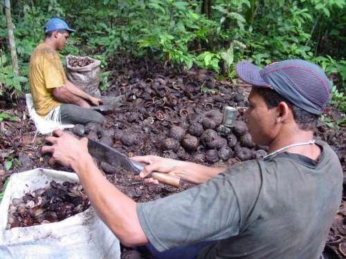 (Regulamento e no Plano de Manejo) 59 unidades federais (nenhuma