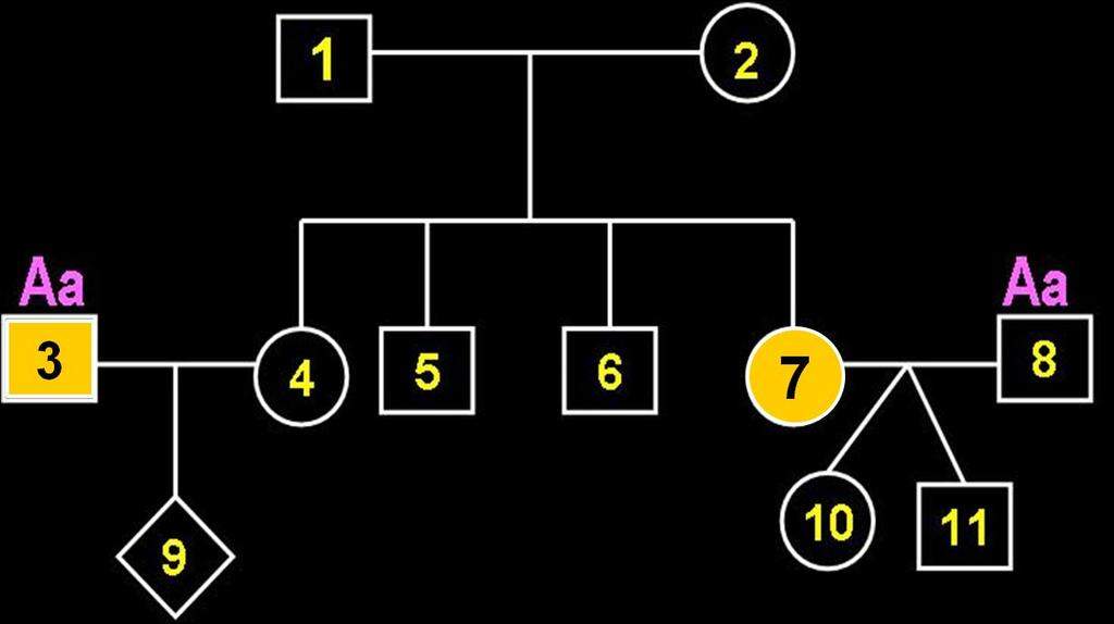 05) Observe a genealogia abaixo e