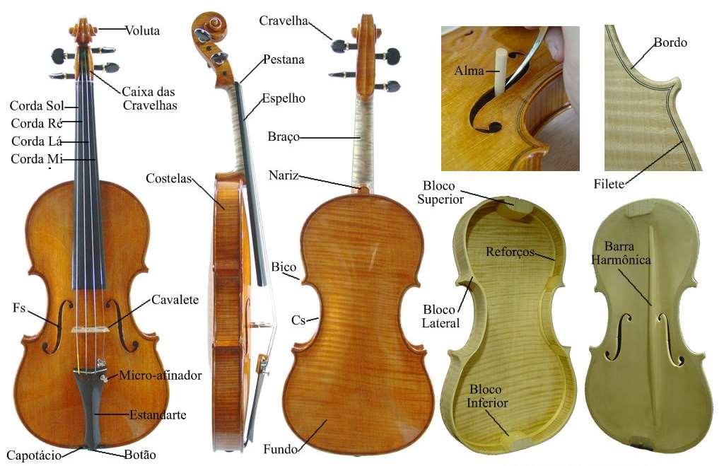 3.1 Partes do Violino e Arco FIGURA 1 Nomenclatura do violino Fonte: