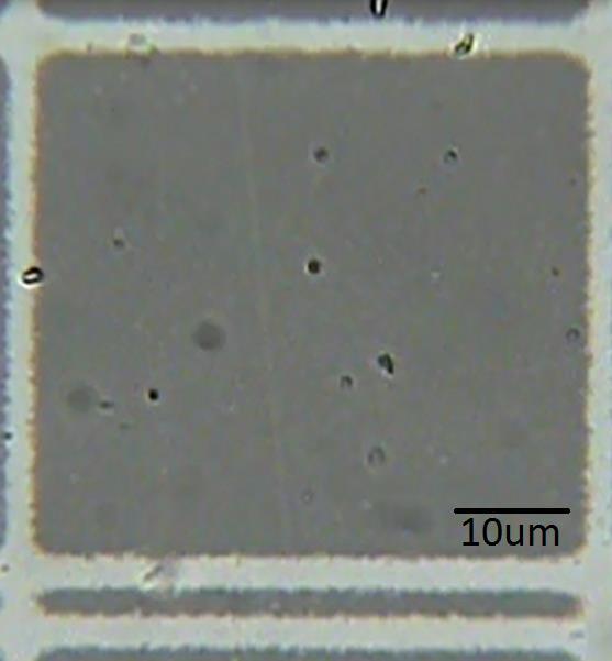 Microscopia ótica da amostra tal qual e após