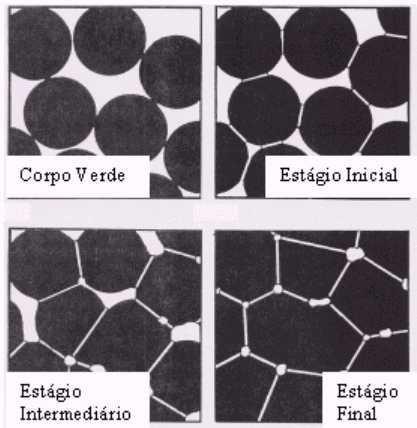 aumento do tamanho médio das partículas; e/ou pela eliminação das interfaces sólido/vapor e criação de uma área de contorno de grão, seguida por crescimento de grãos, que leva à densificação.