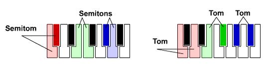 TONS E SEMITONS NATURAIS ESCALA DIATÔNICA DE DÓ SUA FORMAÇÃO E SEUS GRAUS SEMITOM É o menor intervalo existente entre dois sons que o ouvido humano pode perceber e classificar.