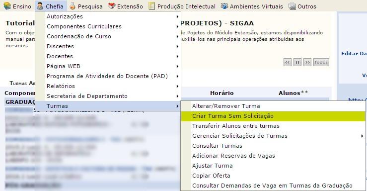 2 Criar turma de ensino individual sem solicitação: Normalmente as turmas de ensino individual são criadas através de solicitações feitas durante o período