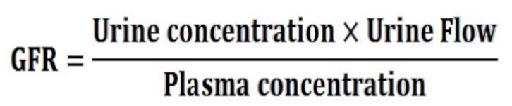 CREATININA Clearance renal de creatinina Ajuste SC Colheita de urina 12-24 horas (creatinina 2±0.8 mg/kg) Estimativa TFG Schwartz (1976) K x Altura/Creat plasmática K = 0.45 1º ano de vida (0.