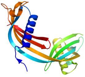 CISTATINA C Proteína não glicosilada, 13.