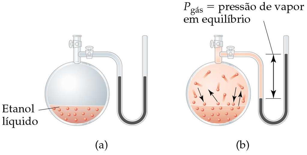 Deste modo, as moléculas do líquido podem escapar para a fase gasosa, gerando uma pressão. A essa pressão damos o nome de pressão de vapor.