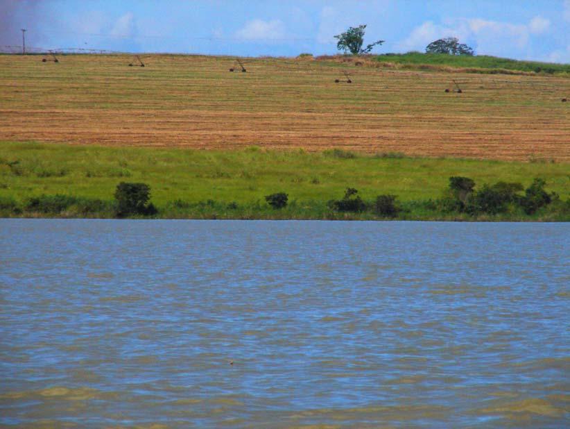 Figura 4. Vista das margens do Reservatório de Cachoeira Dourada, rio Paranaíba, entre os estados de Minas Gerais e Goiás, mostrando áreas de agricultura.