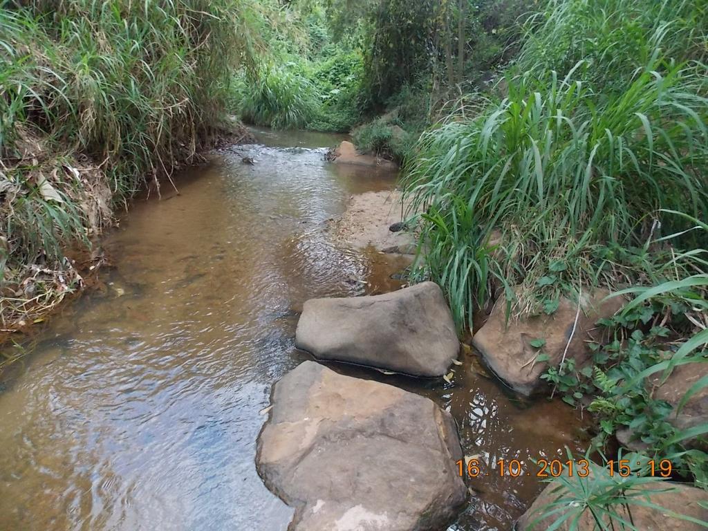 Belo Horizonte/MG - 24 a 27/11/2014 A primeira coleta de água foi feita no córrego Lagoinha (Ponto 1), no interior do Parque, próximo à área do Núcleo de Educação Ambiental.