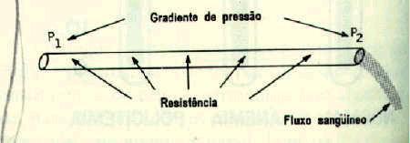 Q é o fluxo sanguíneo; P1 e P2 são as pressões nas