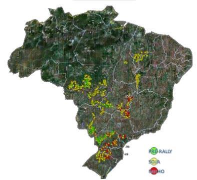 O P no Sistema Solo-Planta Diagnóstico da