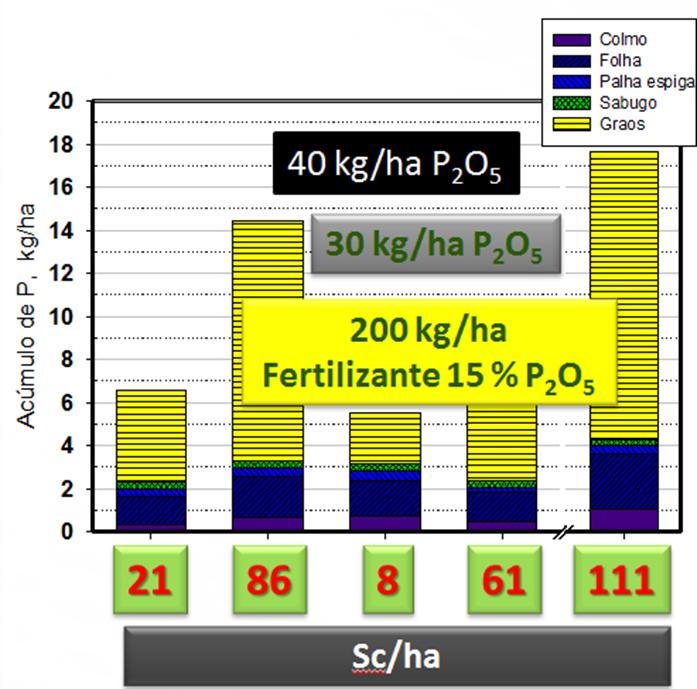 O P no Sistema Solo-Planta Extração e Exportação Produtividade: 3,8 t/ha P, kg/ha 3 28 26 24