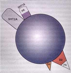 Neurocientíficas Aplicações