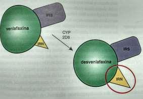 VENLAFAXINA EM DESVENLAFAXINA