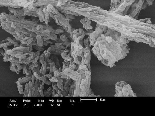 intensidade do pico característico da SBA-15 diminuiu de intensidade (RODRIGUES, 2011; LIMA et al., 2010; ZHAO & WAN, 1998).