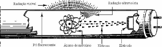 Fig.2.