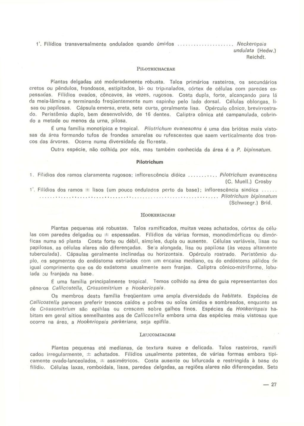 1'. Filídios transversalmente ondulados quando úmidos Neckeropsis undulata (Hedw.) Reichdt. PlLOTRICHACEAE Plantas delgadas até moderadamente robusta.