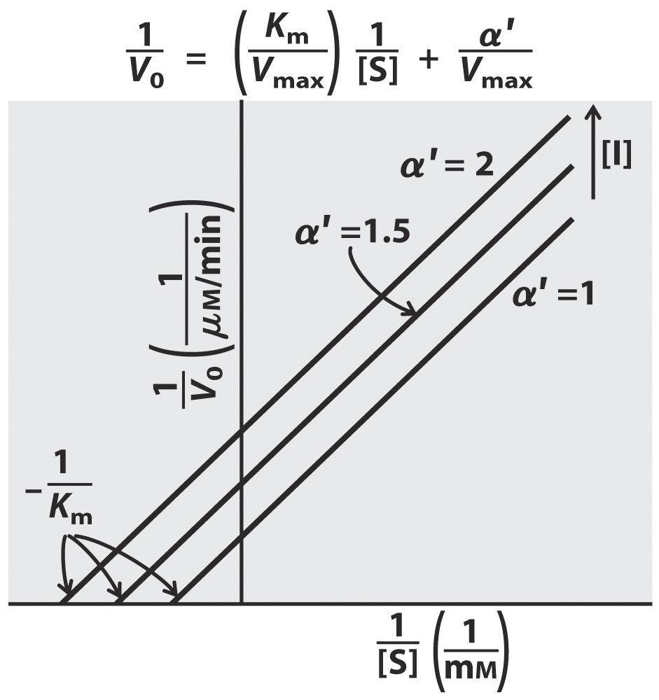 2 ensaios experimentais [E] constante [S] constante [I] variando [E] constante [S] variando [I] constante Conjunto de