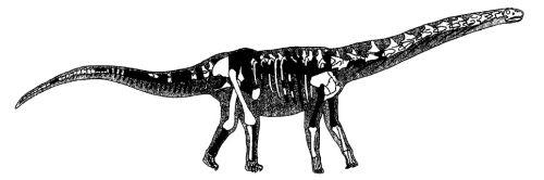 considerando o conteúdo fossilífero representado por restos de quelônios, mesoeucrocodilos e dinossauros encontrados no Morro Cambambé.