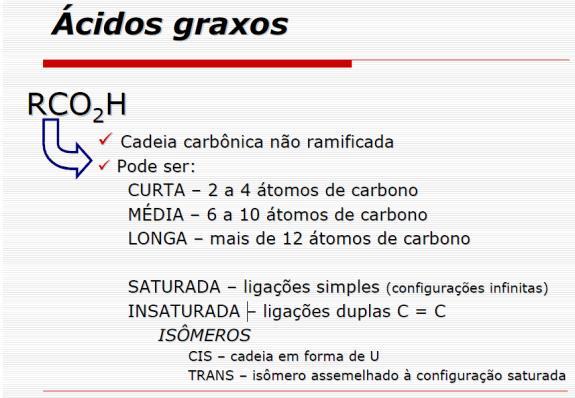 terminação e um grupo metil na outra.