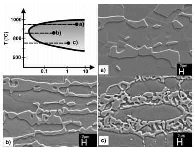 28 Figura 8 Diferentes morfologias de fase sigma para diferentes temperaturas (a) 950 C (b) 850 C e (c) 750 C adaptado de Pohl, Storz, Glogowski, 2007, p.