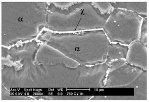 37 Figura 15. Fase chi entre grão de ferrita.