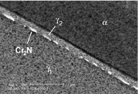 44 Figura 20 Nitreto e cromo formado na interface ferrita/austenita no aço UNS S32550 adaptado de Ramirez, Lippold e Brandi, 2003.