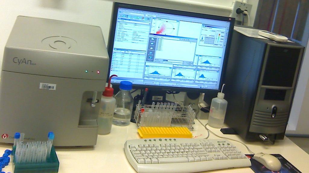 Citometria de Fluxo Imunofenotipagem e Avaliação da Produção de Citocinas 40 Figura 2.