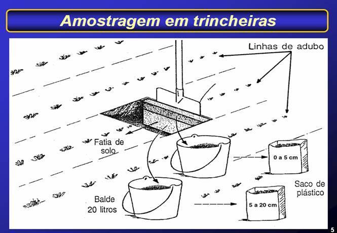 PROFUNDIDADE DE AMOSTRAGEM * Regra geral: profundidade de exploração das raízes da cultura * Culturas anuais: 0-20 cm (0-20 cm e 20-40 cm na 1ª vez) * Culturas perenes (exceto pastagens): 0-20 cm e