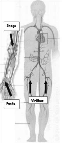 Figura A.5. Esquema das vias de acesso de um procedimento de coronariografia [146].