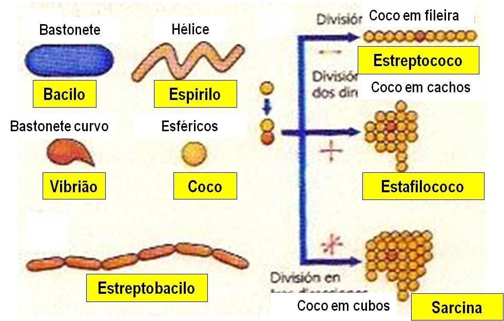 Formas e