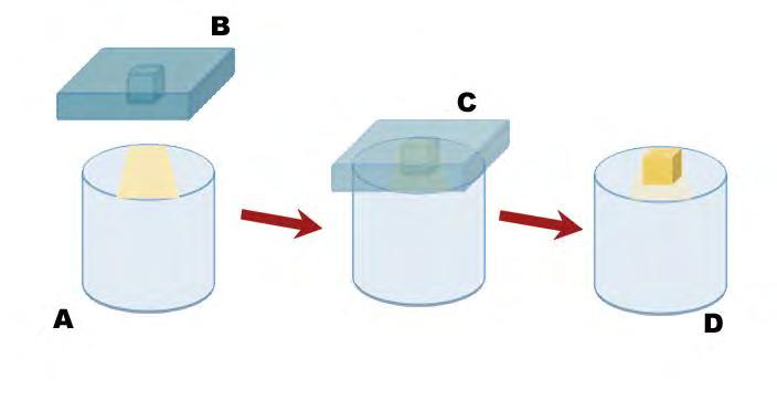 Os espécimes foram armazenados em recipientes fechados com água destilada a 37 C, em estufa bacteriológica. Figura 3 Esquema representativo da construção do bloco de resina composta.