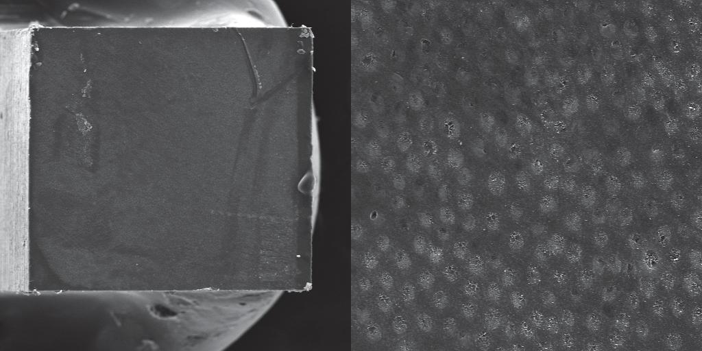 Imagens em microscopia eletrônica de varredura (MEV) foram obtidas a fim de ilustrar as